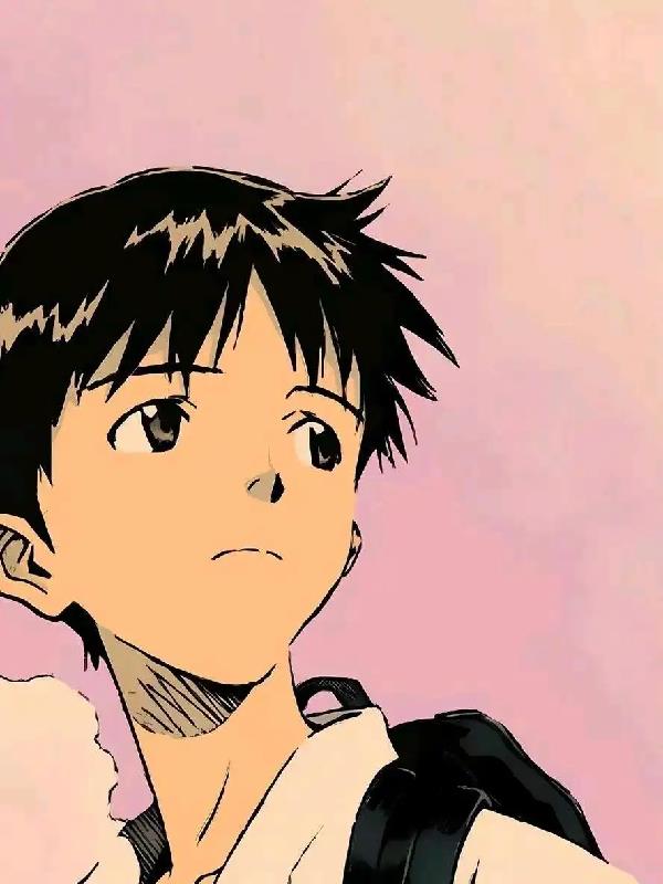 碇真嗣不再是适格者:成为光封面