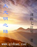 大光明之赐封面