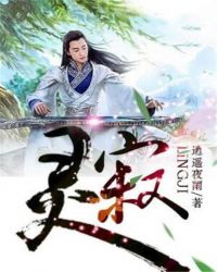 灵寂封面