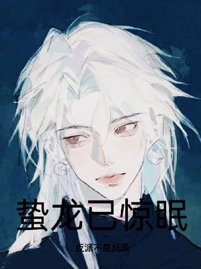蛰龙已惊眠封面
