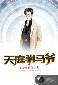 天庭驸马爷封面