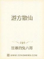 游方散仙封面