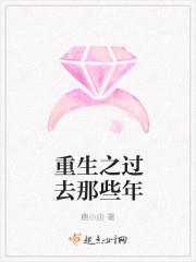 重生之过去那些年封面