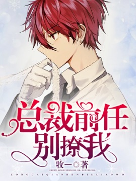 总裁前任别撩我封面