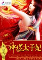 夫君当道:神棍太子妃封面