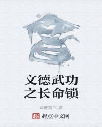 文德武功之长命锁封面