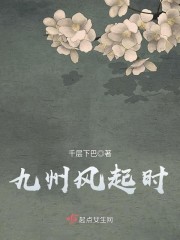 九州风起时封面