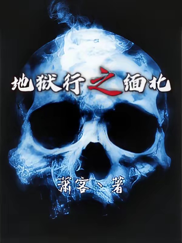 地狱行之缅北封面