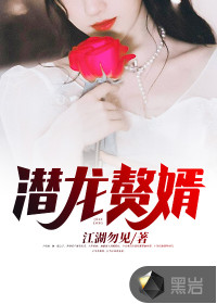 潜龙赘婿封面