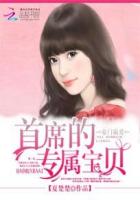 豪门霸爱:首席的专属宝贝封面