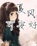 夏风可安好封面