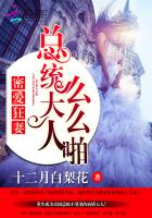 密爱狂妻：总统大人么么啪封面