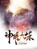 神明九炼封面