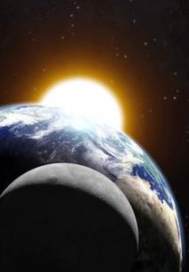 庞大的蝼蚁封面