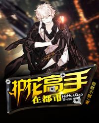 护花高手在都市封面