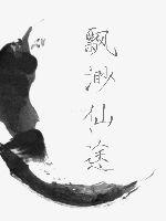 飘渺星途封面