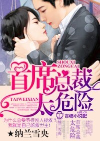首席总裁,太危险封面