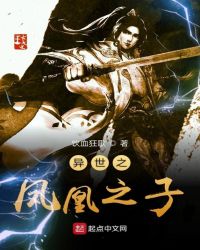 异世之凤凰之子封面