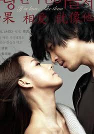 要爱就像他们那样封面