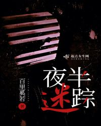 夜半迷踪封面