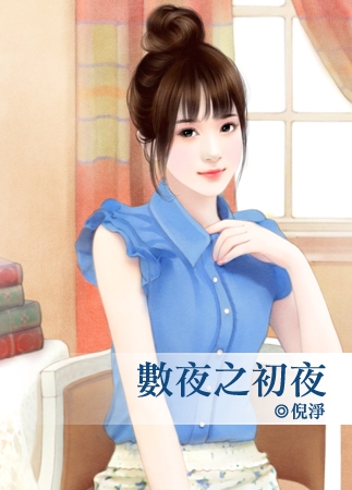 数夜之初夜封面
