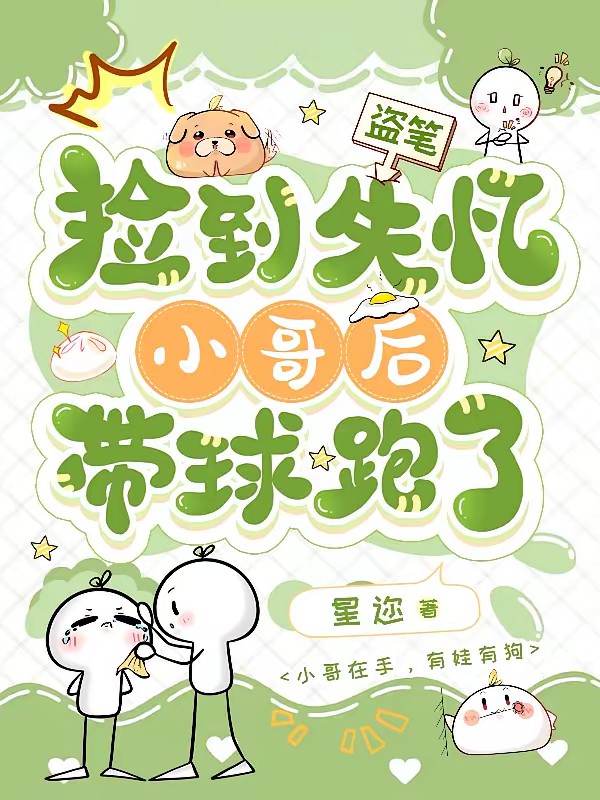 盗笔:捡到失忆小哥后带球跑了封面