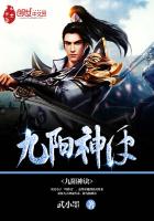 九阳神诀封面