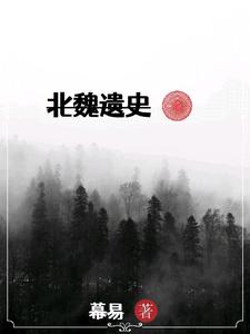 北魏遗史封面