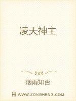 凌天神主封面