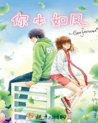 你本如风封面