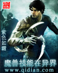 魔兽技能在异界封面