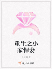 重生之小家悍妻封面