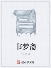 书梦斋封面
