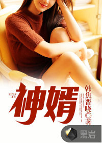 神婿封面