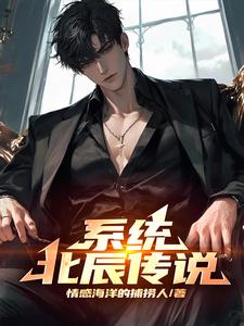 系统：北辰传说封面