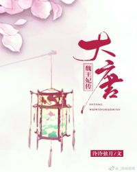 大唐魏王妃传封面