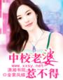 中校老婆惹不得封面