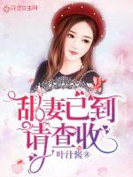 甜妻已到请查收封面