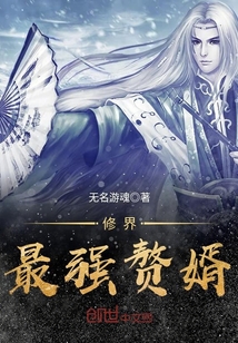 修界最强赘婿封面