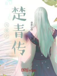 元尊之楚青传封面