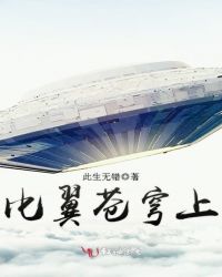 比翼苍穹上封面