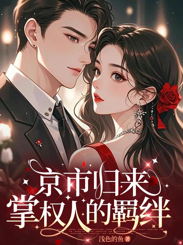 京市归来，掌权人的羁绊封面