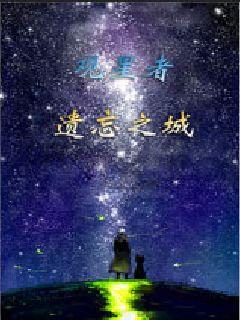 观星者遗忘之城封面