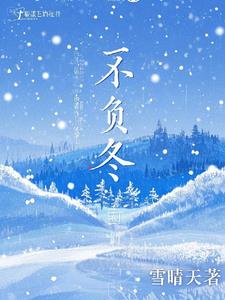 不负冬封面