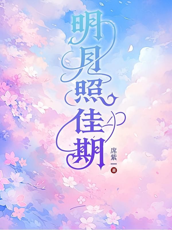 明月照佳期封面