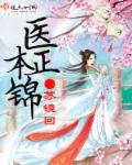医本正锦封面