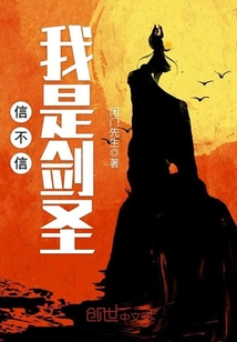 信不信我是剑圣封面