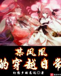 某凤凰的穿越日常封面