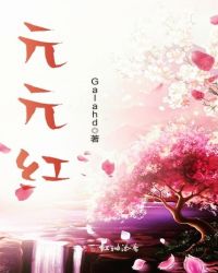 元元红封面
