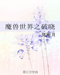 魔兽世界之破晓封面